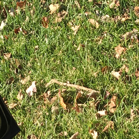 Meet your Posher, Sharon - Picture 1 of 1